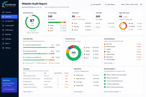 website audit report
